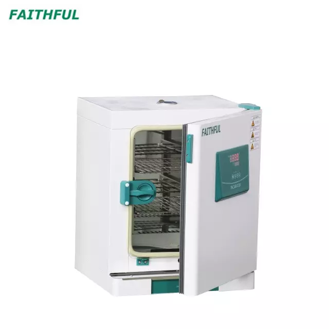 Constant-Temperature Incubator DH-BII - Image 2