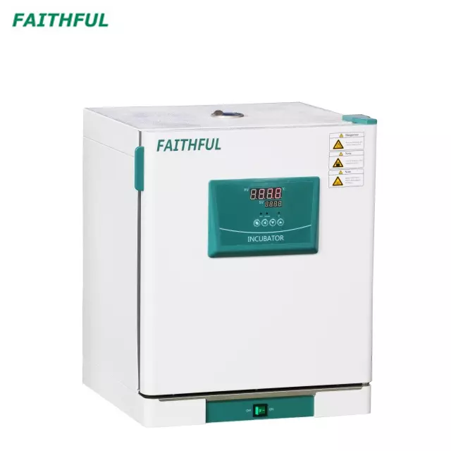 Constant-Temperature Incubator DH-BII